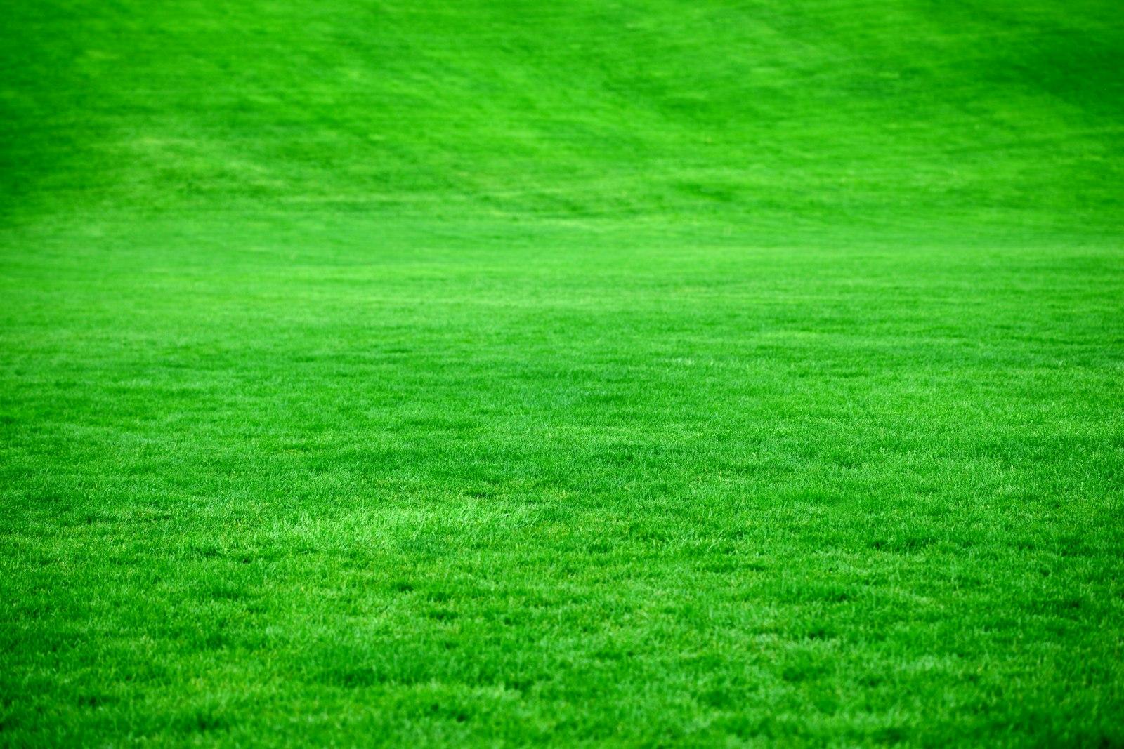 Terreno urbano en Monay
